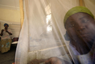 Illustration for article titled The Faces Of Congo's Women